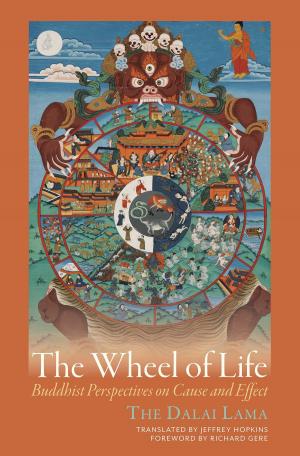 Cover of the book The Wheel of Life by Dominique Townsend