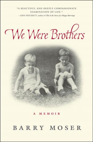 Cover of the book We Were Brothers by Julia Pandl