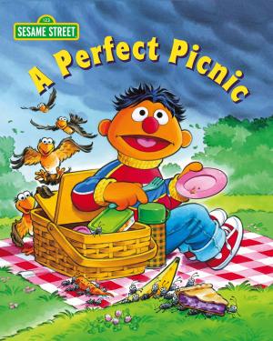 Cover of the book A Perfect Picnic (Sesame Street Series) by P.J. Shaw