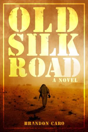 Cover of the book Old Silk Road by Andrew Keene