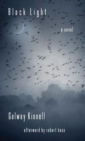 Cover of the book Black Light by Guy Davenport, Erik Reece