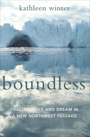 Cover of the book Boundless by Hiromi Kawakami