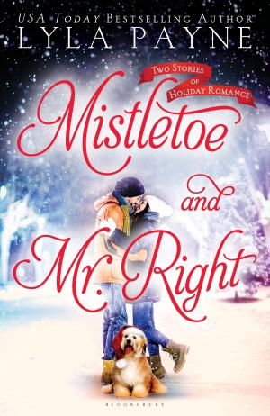 Cover of the book Mistletoe and Mr. Right by David Scott, Christopher Martin, C. M. Posner, Elsa Guzman