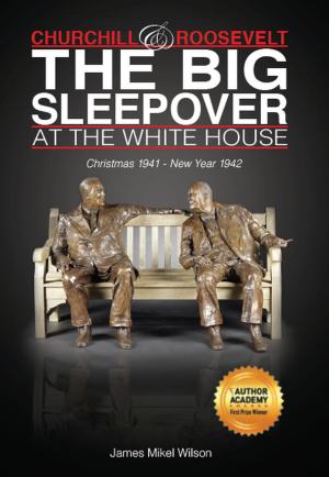 Cover of the book Churchill and Roosevelt: The Big Sleepover at the White House by Dan Butterfield