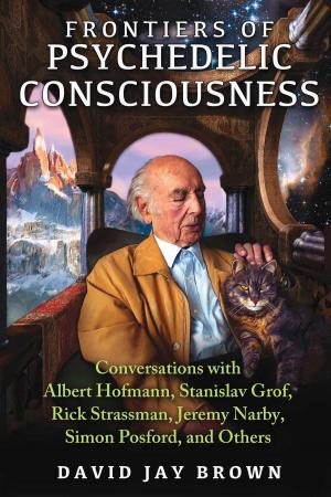 Cover of the book Frontiers of Psychedelic Consciousness by Paul Peebles