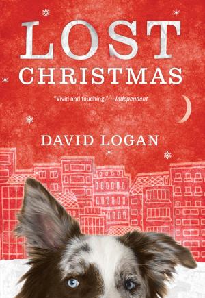 Cover of the book Lost Christmas by Gregory E. Huszczo