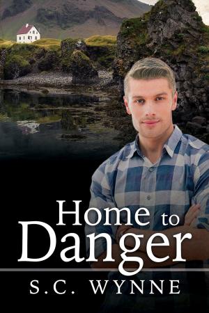 Cover of the book Home to Danger by Sean Kennedy