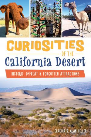 Cover of the book Curiosities of the California Desert by Deborah Barker