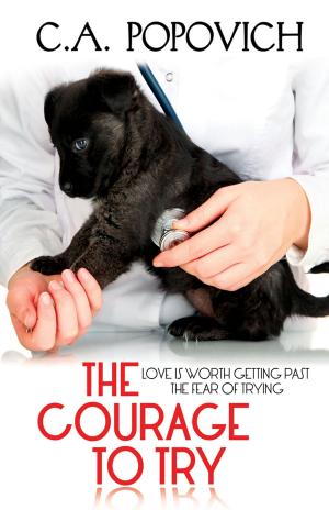Cover of the book The Courage to Try by Erin Dutton