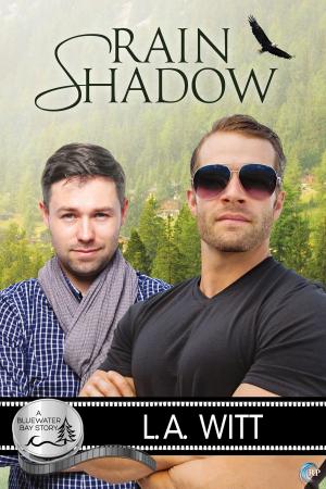 Cover of the book Rain Shadow by Rachel Haimowitz, Heidi Belleau