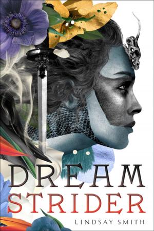 Cover of the book Dreamstrider by Ian Lendler, Serge Bloch