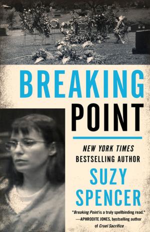 Cover of the book Breaking Point by Tamir Goodman, Judy Horwitz Goodman