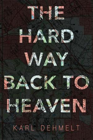 Cover of the book The Hard Way Back to Heaven by Tanya J. Peterson