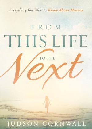 Cover of the book From This Life to the Next by Lee Cummings