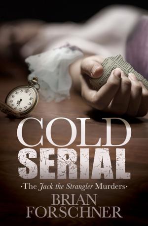 Cover of the book Cold Serial by Stephen Liddell