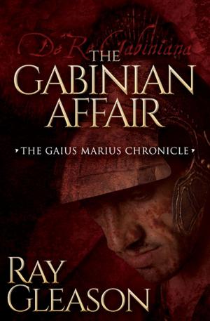 Cover of the book The Gabinian Affair by Soraya Diase Coffelt
