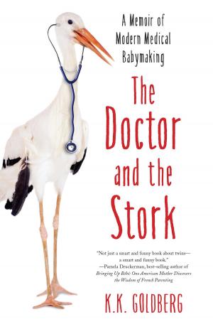 Cover of the book The Doctor and the Stork by Maureen Muldoon