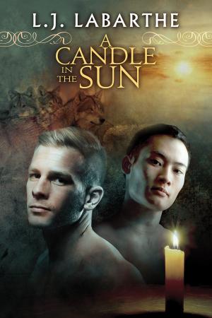 bigCover of the book A Candle in the Sun by 