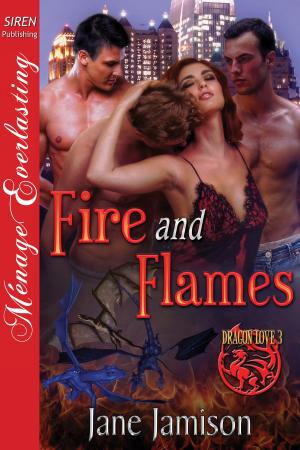 Cover of the book Fire and Flames by Jordan Ashton