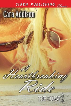 Cover of the book A Heartbreaking Ride by Anitra Lynn McLeod