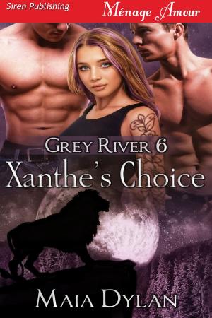 Cover of the book Xanthe's Choice by Jennifer Simpkins