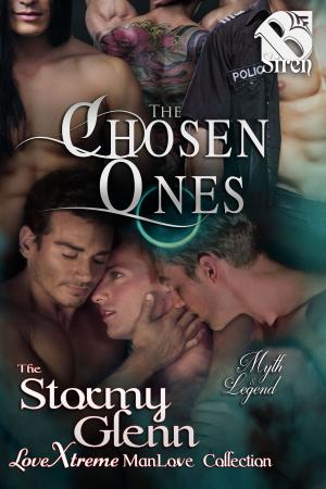 Cover of the book The Chosen Ones by Shawn Bailey