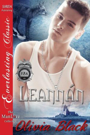 Cover of the book Leannan by Amanda Shofner