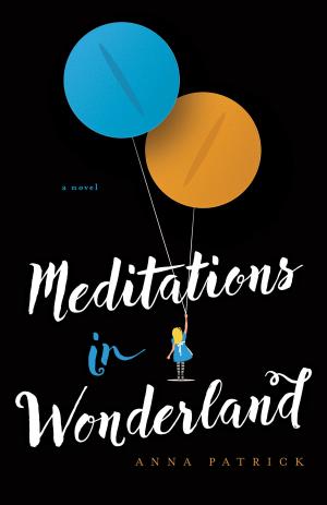 Cover of the book Meditations in Wonderland by Rachel Egan
