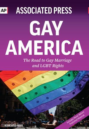 Cover of the book Gay America by Janice Zarro Brodman, PhD