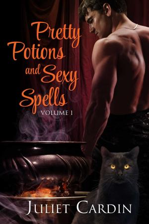 Cover of the book Pretty Potions and Sexy Spells by Carey Mozena