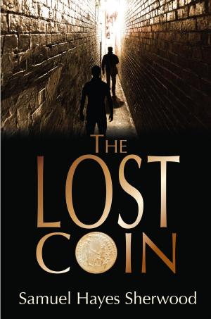Book cover of The Lost Coin