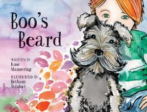 Cover of the book Boo's Beard by Catherine Bailey