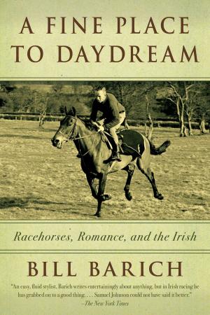 Cover of the book A Fine Place to Daydream by Pete Cerqua, Victoria Toujilina