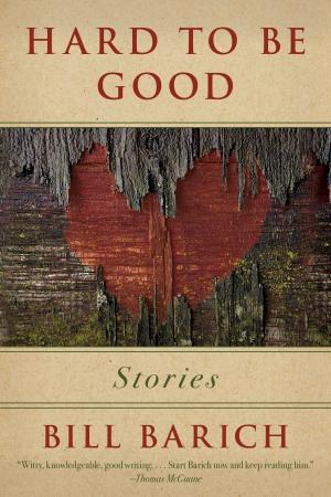 Cover of the book Hard to Be Good by Robert A. Sadowski