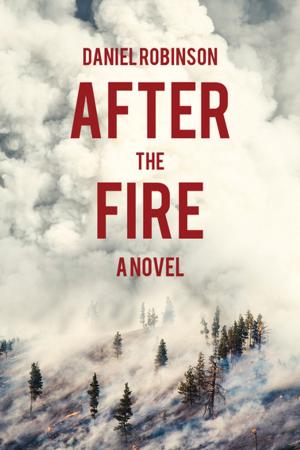 Cover of the book After the Fire by Charlotte Peterson