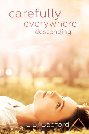 Cover of the book carefully everywhere descending by M.J. O'Shea
