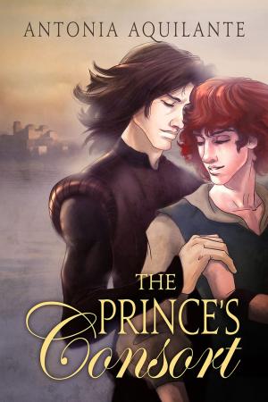 Cover of the book The Prince's Consort by Rowan Speedwell