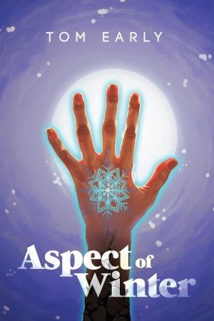 Cover of the book Aspect of Winter by Melanie Tushmore
