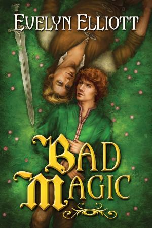 Book cover of Bad Magic