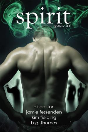 Cover of the book Spirit by Andrew Grey