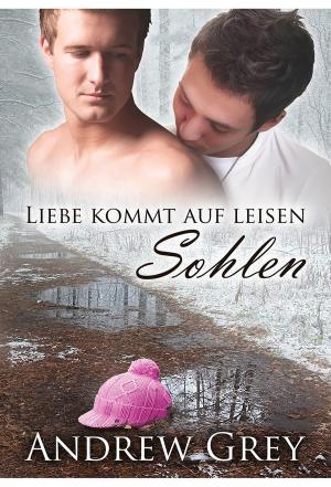 Cover of the book Liebe kommt auf leisen Sohlen by J.I. Radke