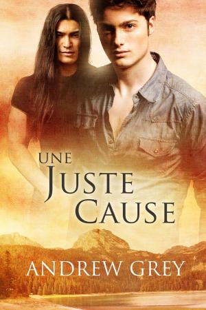 Cover of the book Une juste cause by Andrew Grey
