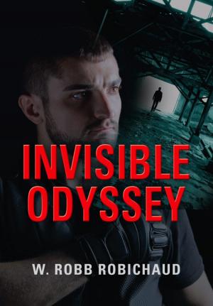 Cover of the book INVISIBLE ODYSSEY by Stephen C. Barns, Ryan D. Duval