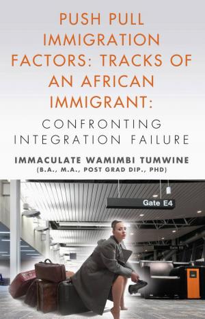 Cover of the book Push Pull Immigration Factors: Tracks of an African Immigrant - Confronting Integration Failure by Eitan Eckstein