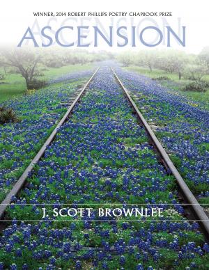 Cover of the book Ascension by Johnnie Bernhard