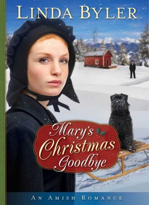 Cover of the book Mary's Christmas Goodbye by Gerald Kaufman, L. Marlene Kaufman
