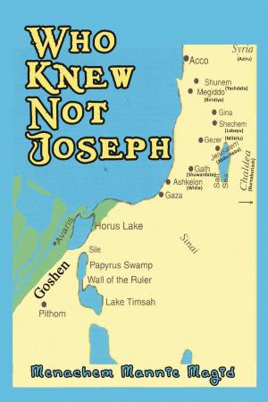 Cover of the book Who Knew Not Joseph by C. Leigh Broadhurst