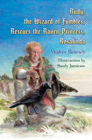 Cover of the book Rudy, the Wizard of Fumbles, Rescues the Raven Princess, Rosalinda by Carly G Jeffries