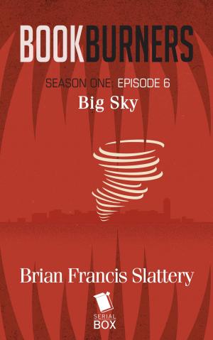 Cover of the book Big Sky (Bookburners Season 1 Episode 6) by Ellen Kushner, Tessa Gratton, Mary Anne Mohanraj, Joel Derfner, Racheline Maltese, Paul Witcover