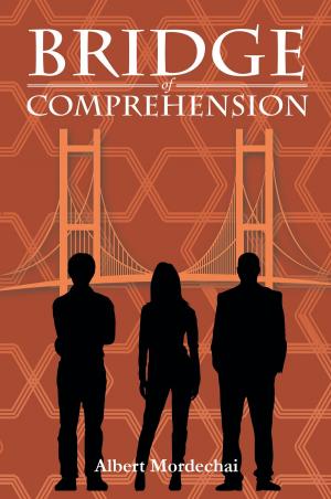 Cover of the book Bridge of Comprehension by Jannette C. LeSure Davis